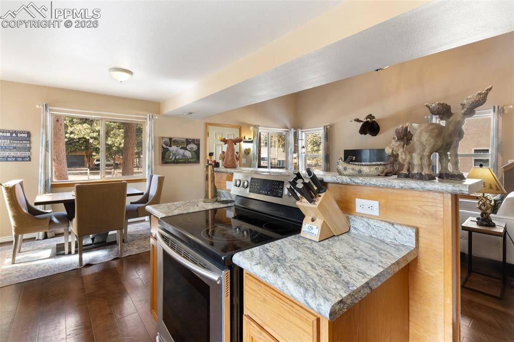509 N Center Street Woodland Park CO 80863