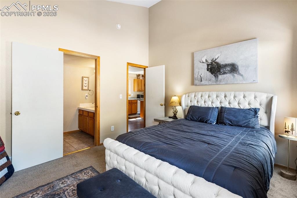 509 N Center Street Woodland Park CO 80863