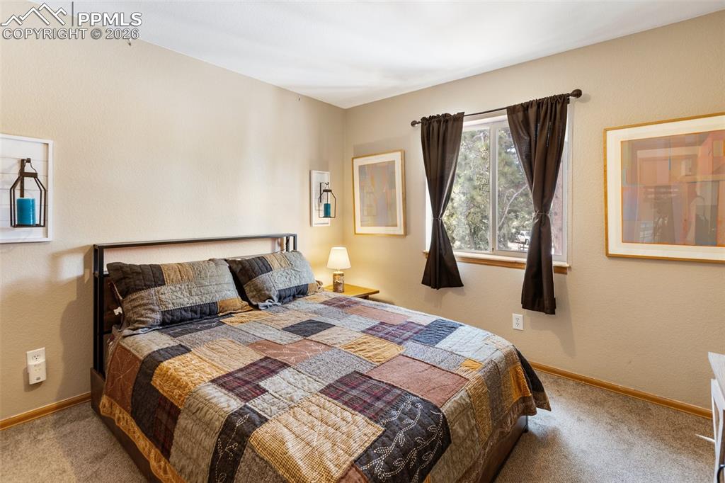 509 N Center Street Woodland Park CO 80863