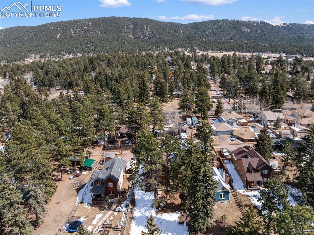 509 N Center Street Woodland Park CO 80863