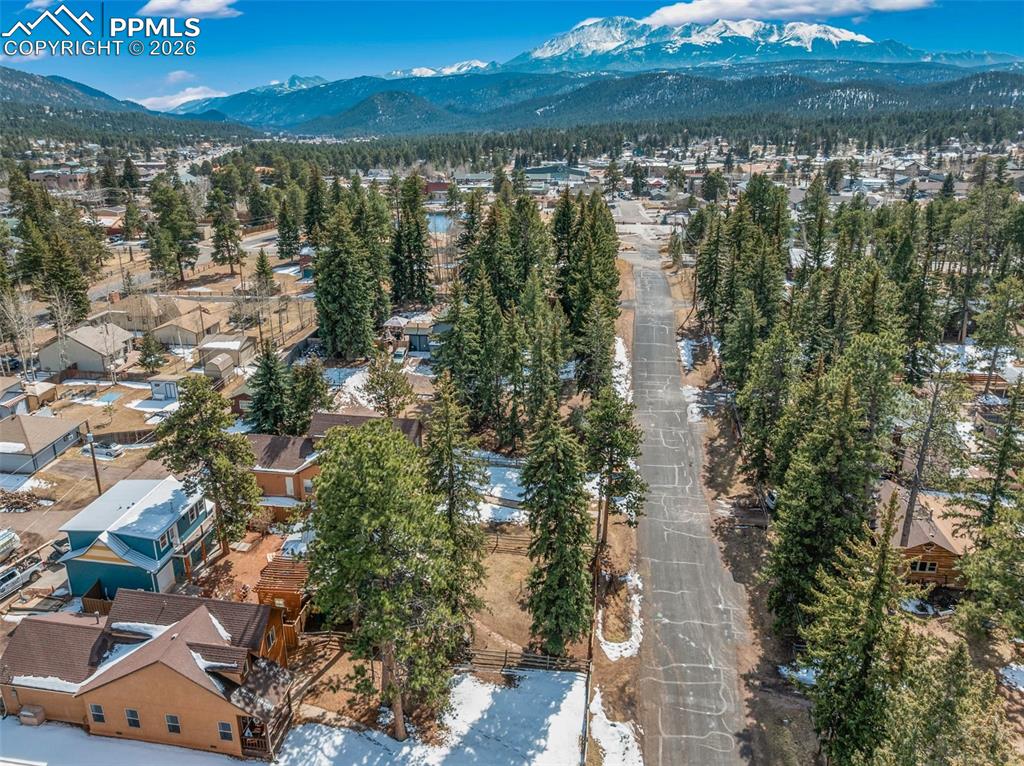 509 N Center Street Woodland Park CO 80863