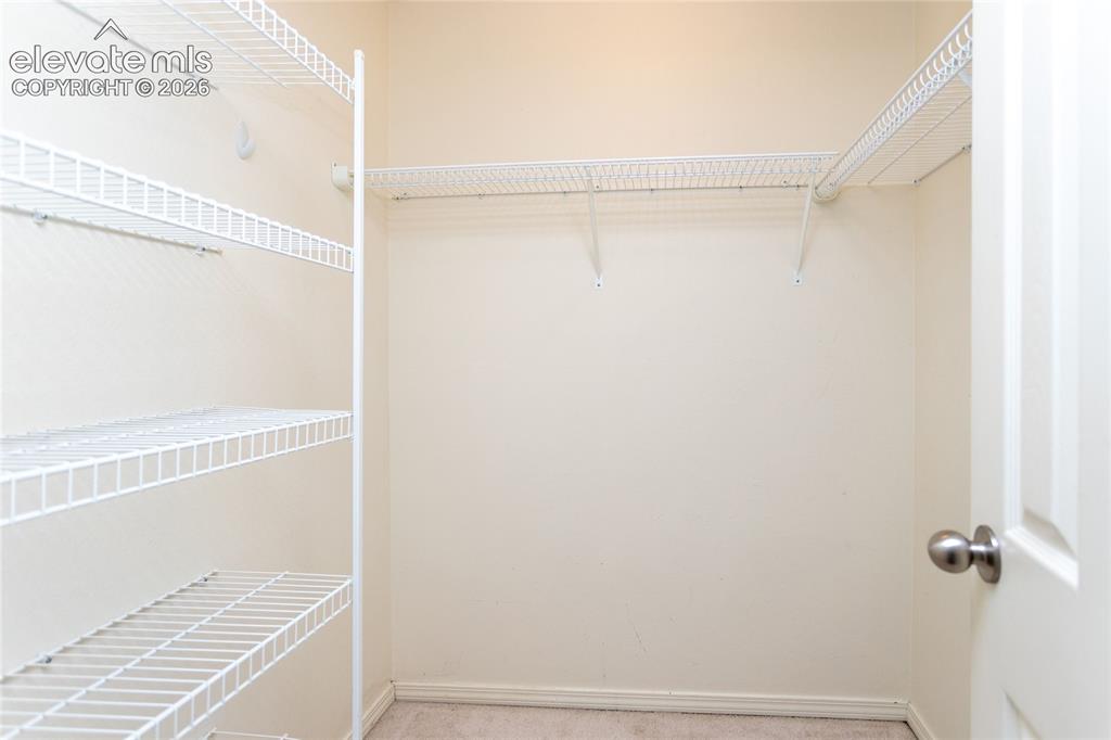 1094 Swayback Drive Fountain CO 80817