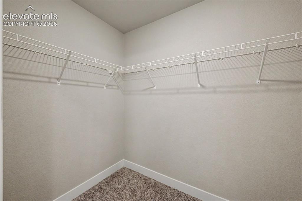3112 Namib Drive Colorado Springs CO 80939