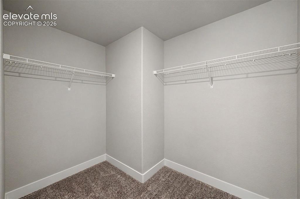 3112 Namib Drive Colorado Springs CO 80939