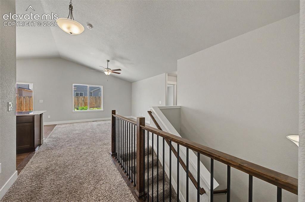 3112 Namib Drive Colorado Springs CO 80939