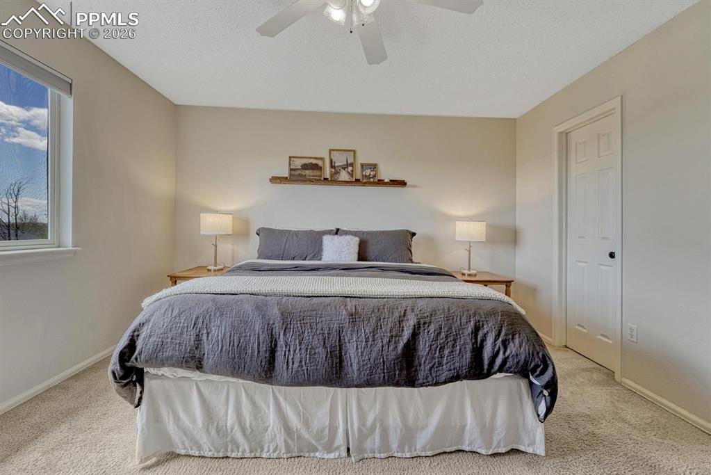 4655 Stargazer Drive Colorado Springs CO 80922