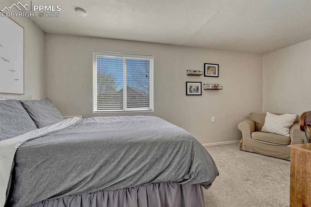 4655 Stargazer Drive Colorado Springs CO 80922