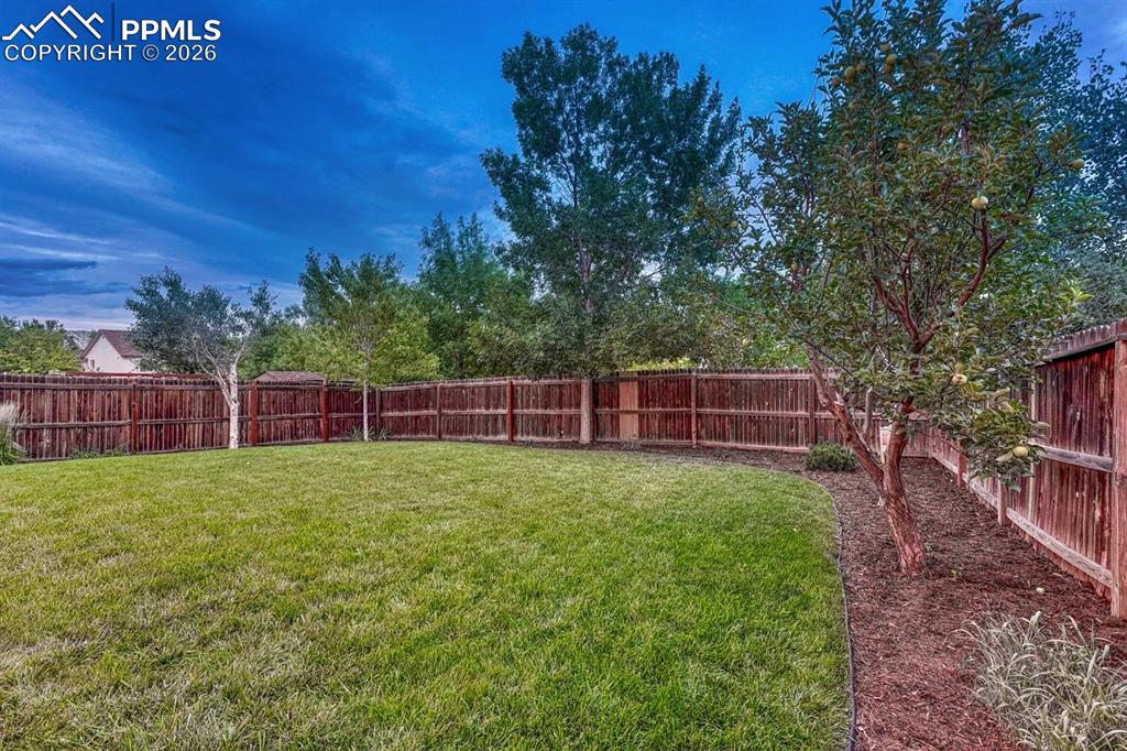 4655 Stargazer Drive Colorado Springs CO 80922