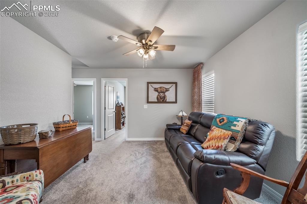 8108 Kittrick Place Peyton CO 80831