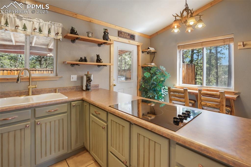 31 Handcart Circle Florissant CO 80816