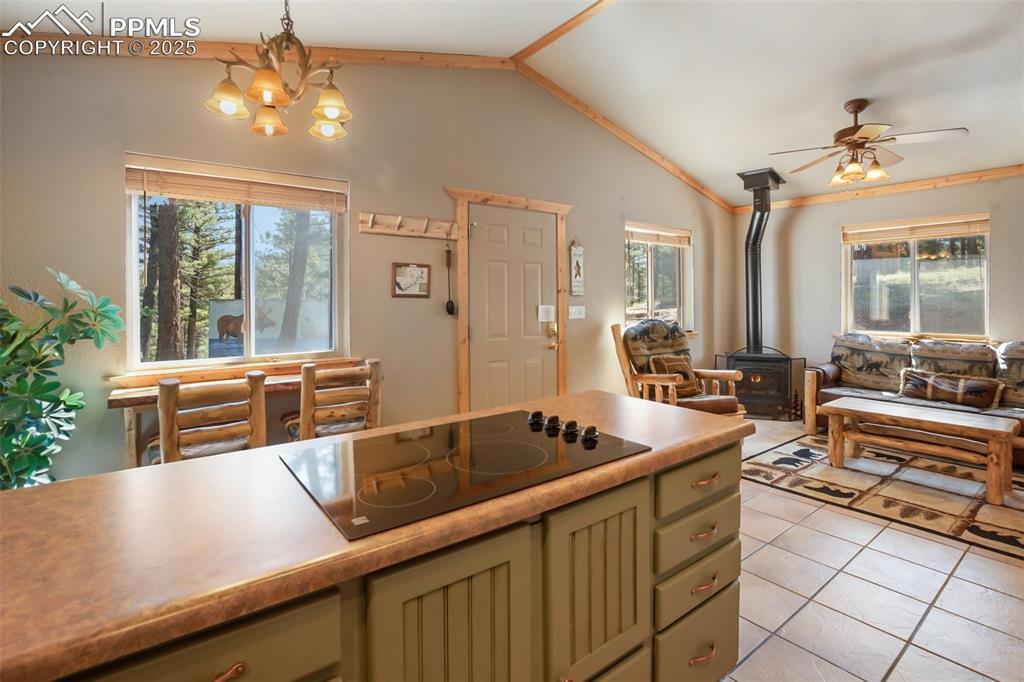 31 Handcart Circle Florissant CO 80816