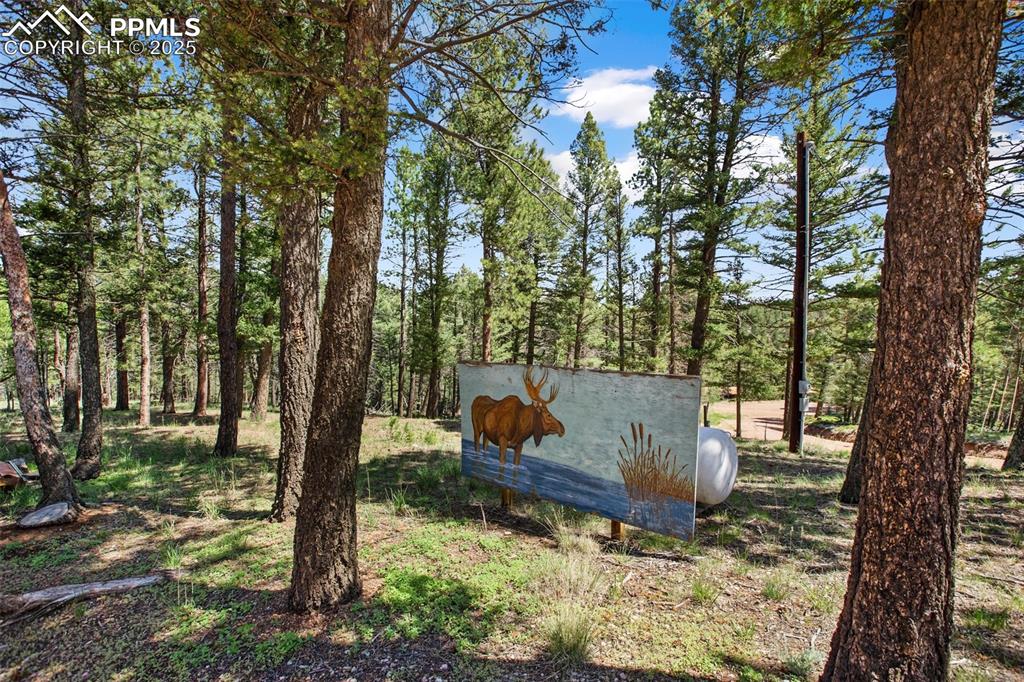 31 Handcart Circle Florissant CO 80816