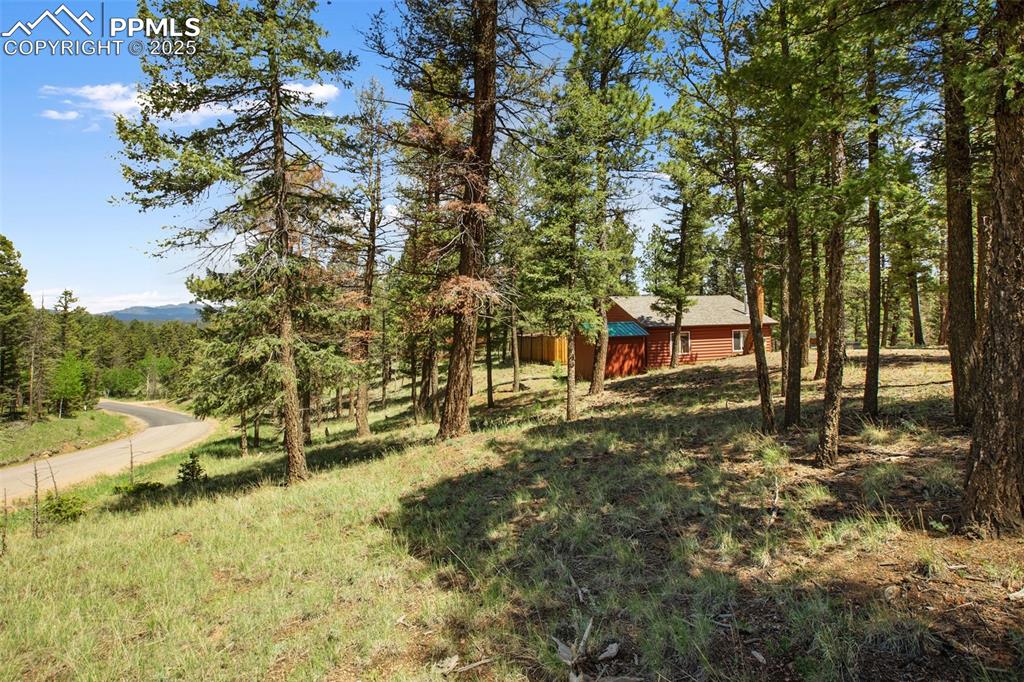 31 Handcart Circle Florissant CO 80816