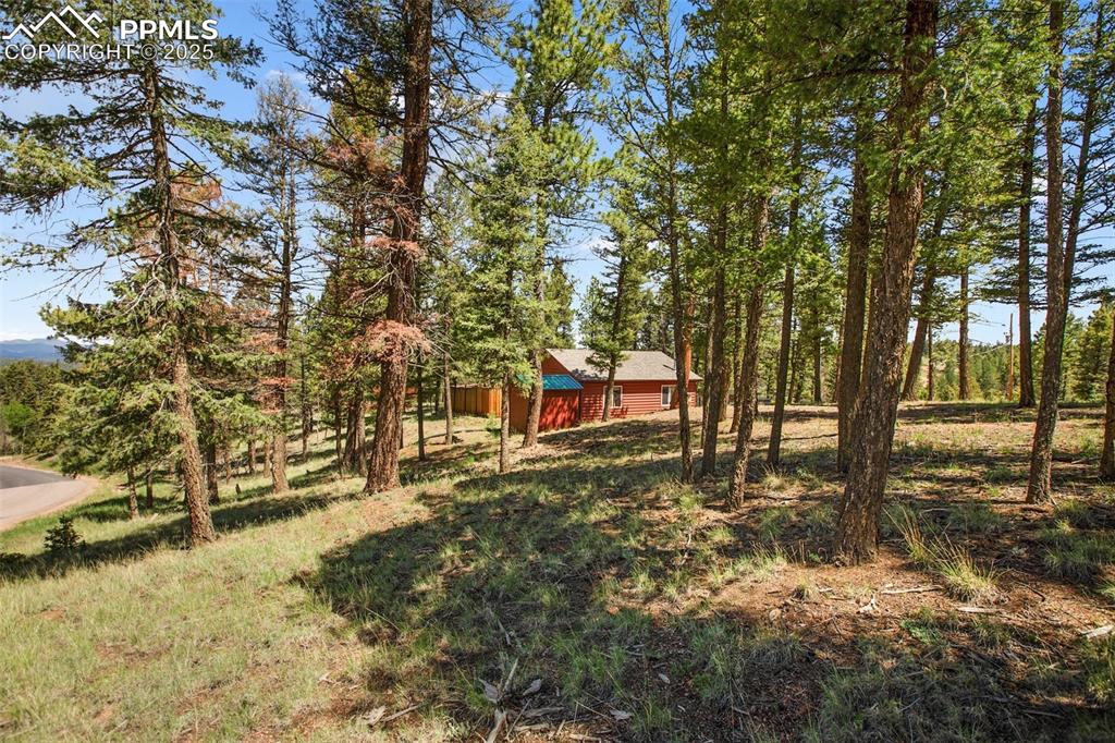 31 Handcart Circle Florissant CO 80816