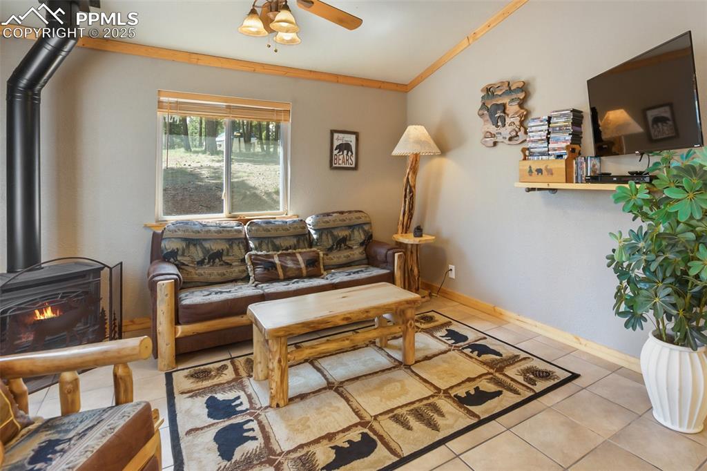 31 Handcart Circle Florissant CO 80816