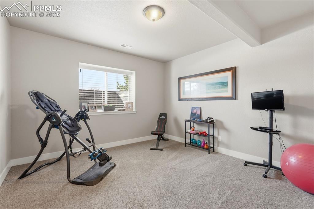 2055 Zenato Court Colorado Springs CO 80921