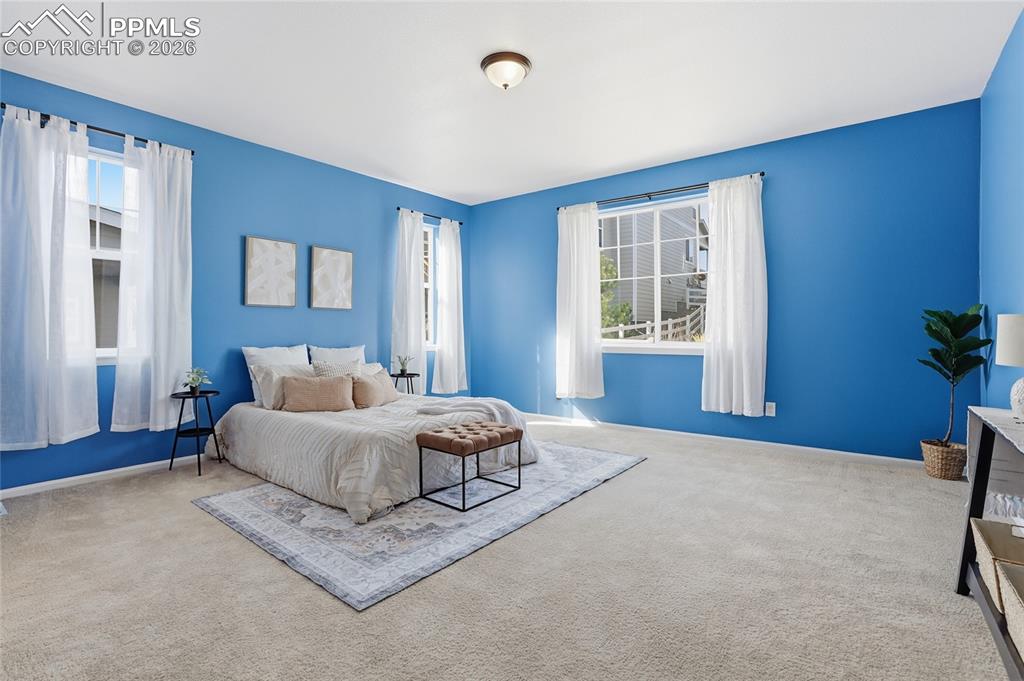 5117 Coltin Trail Castle Rock CO 80104