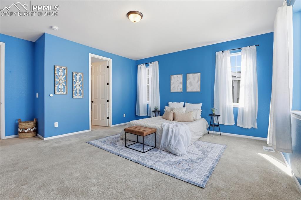 5117 Coltin Trail Castle Rock CO 80104