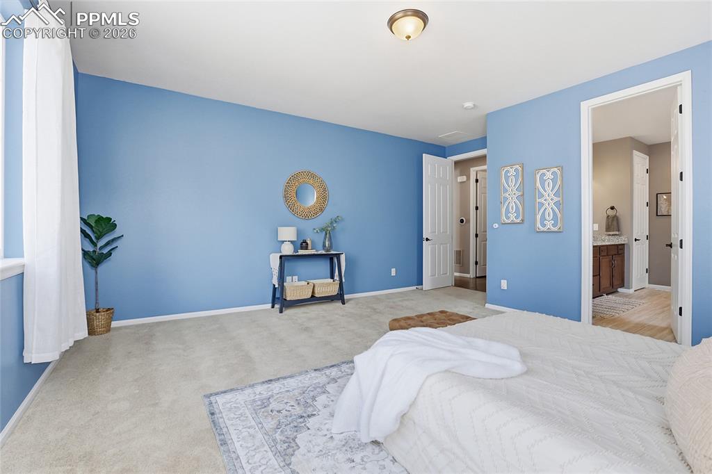 5117 Coltin Trail Castle Rock CO 80104