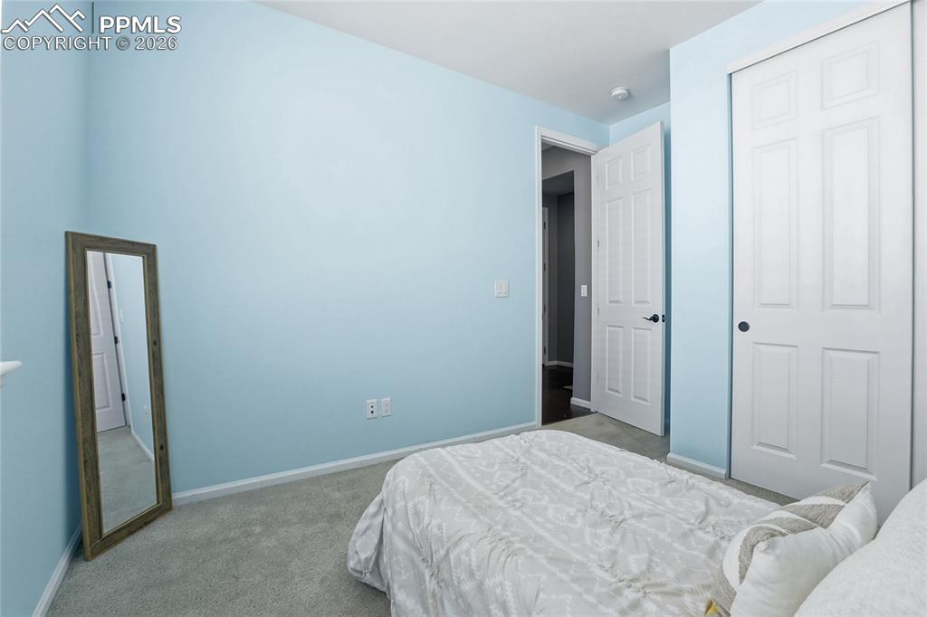 5117 Coltin Trail Castle Rock CO 80104