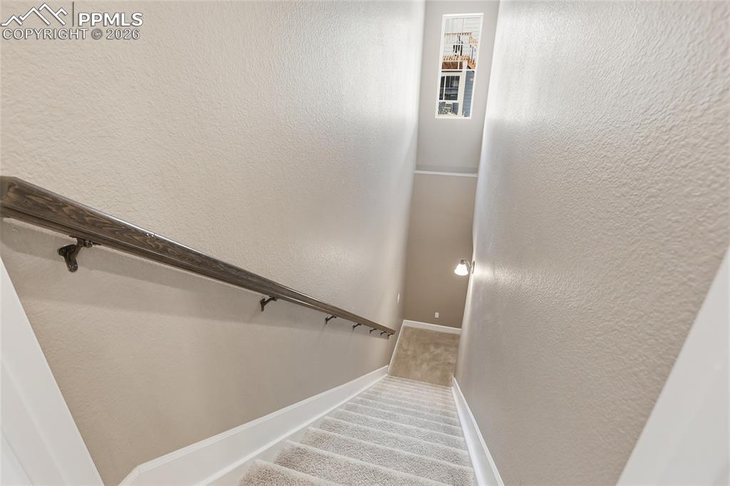 5117 Coltin Trail Castle Rock CO 80104