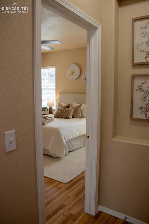 16217 Windsor Creek Drive Monument CO 80132