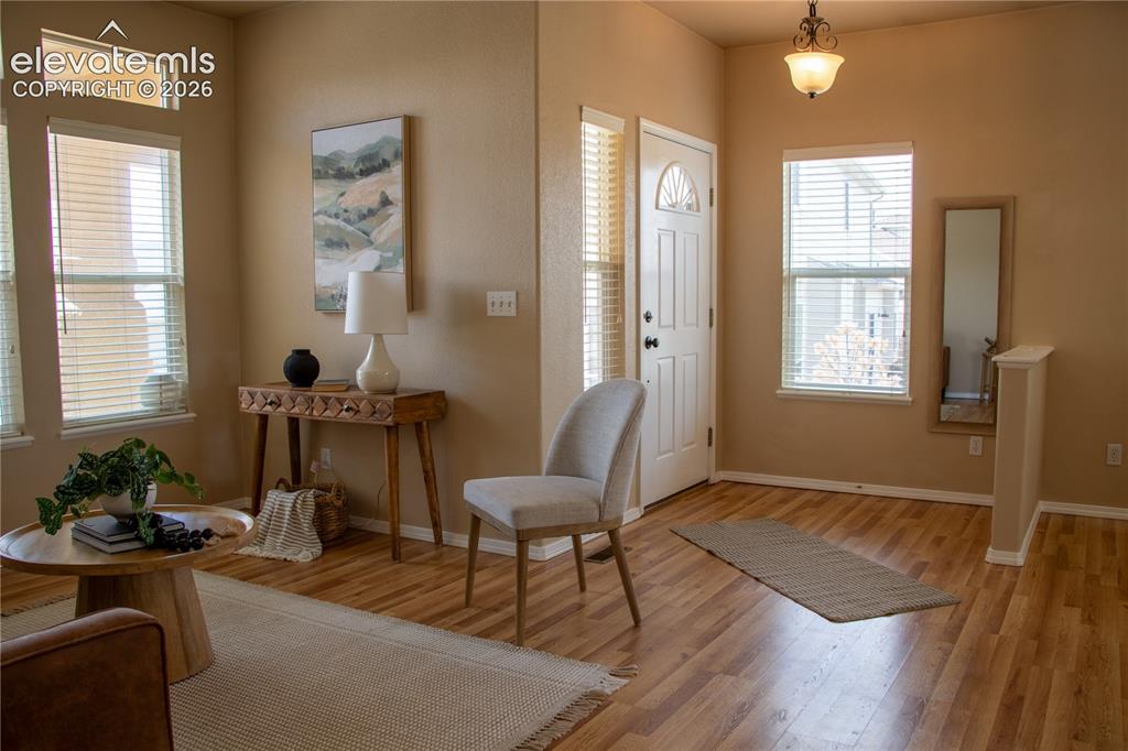 16217 Windsor Creek Drive Monument CO 80132
