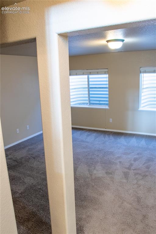16217 Windsor Creek Drive Monument CO 80132