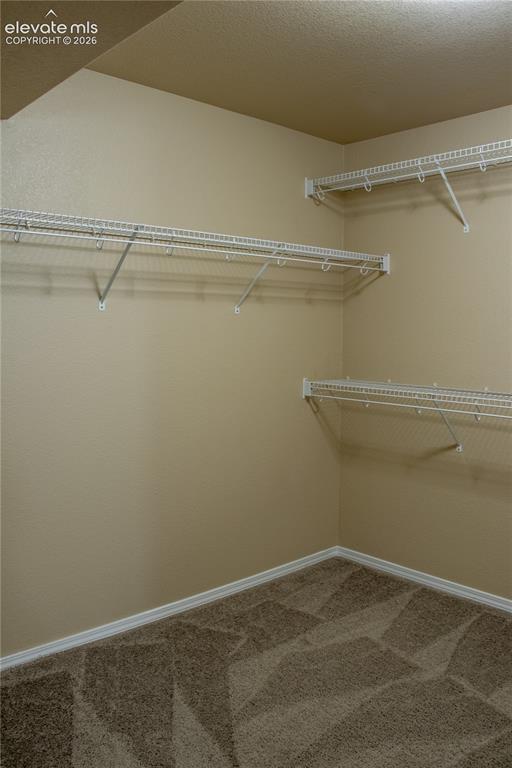 16217 Windsor Creek Drive Monument CO 80132