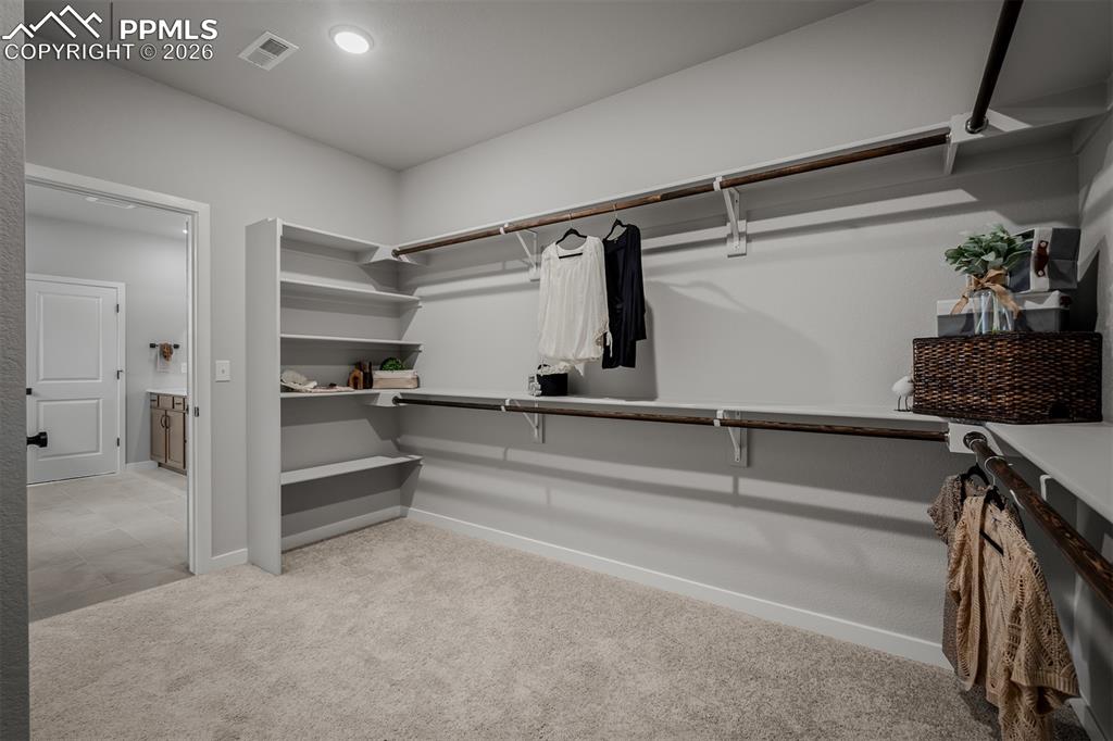 9236 Wolf Valley Drive Colorado Springs CO 80924