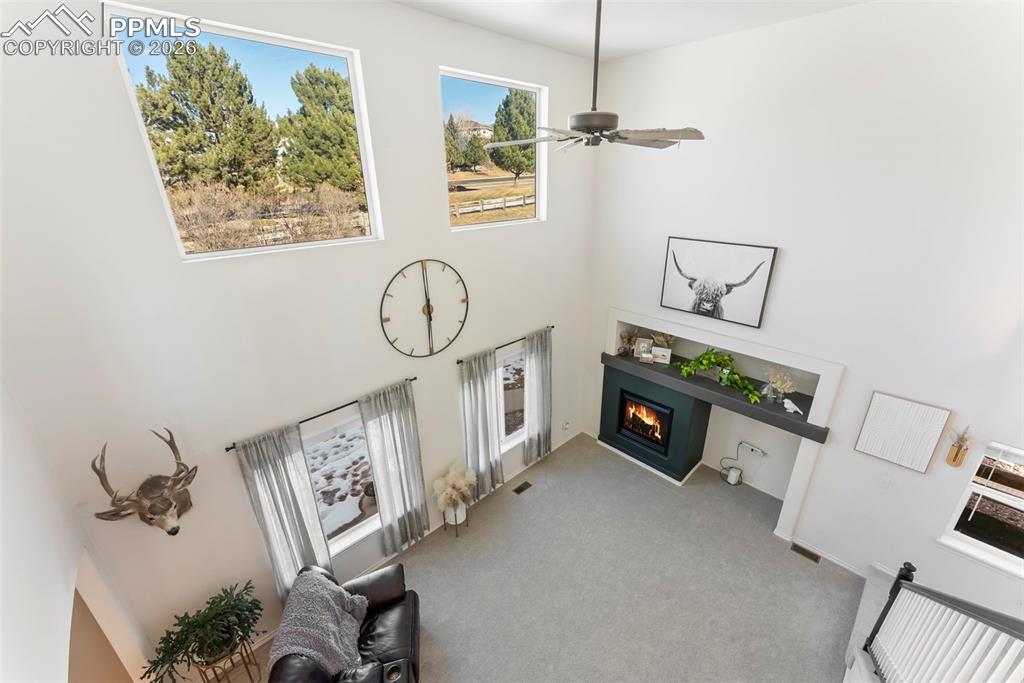 1442 Lookout Springs Drive Colorado Springs CO 80921