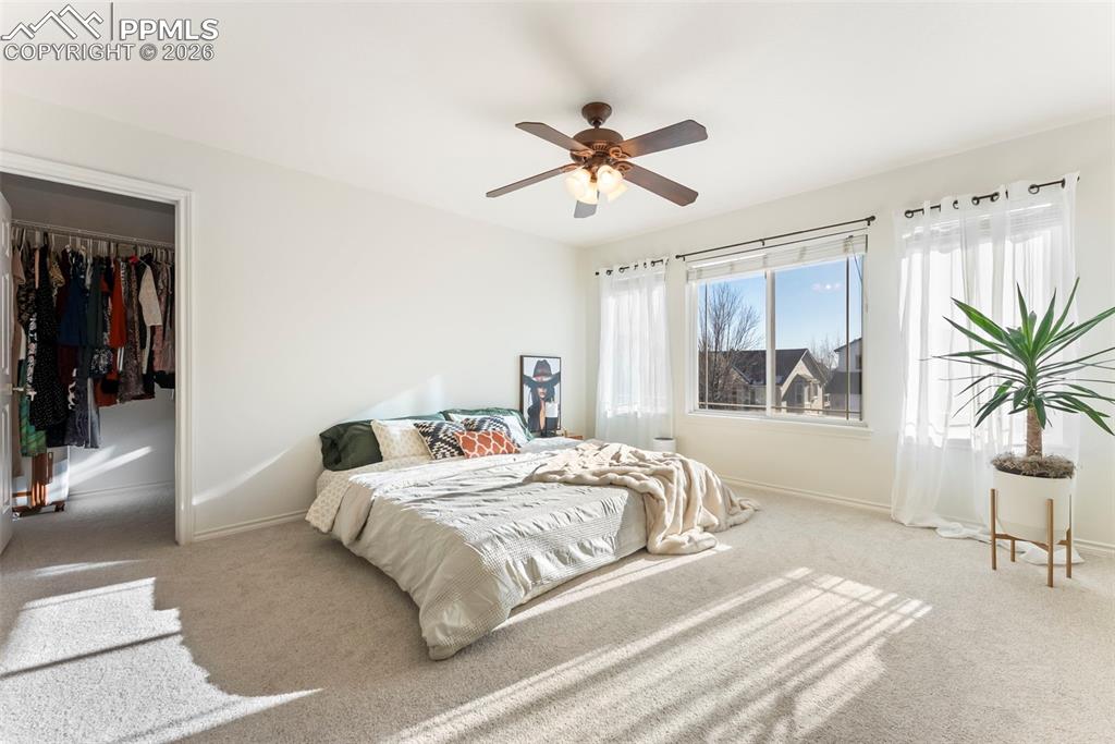 1442 Lookout Springs Drive Colorado Springs CO 80921