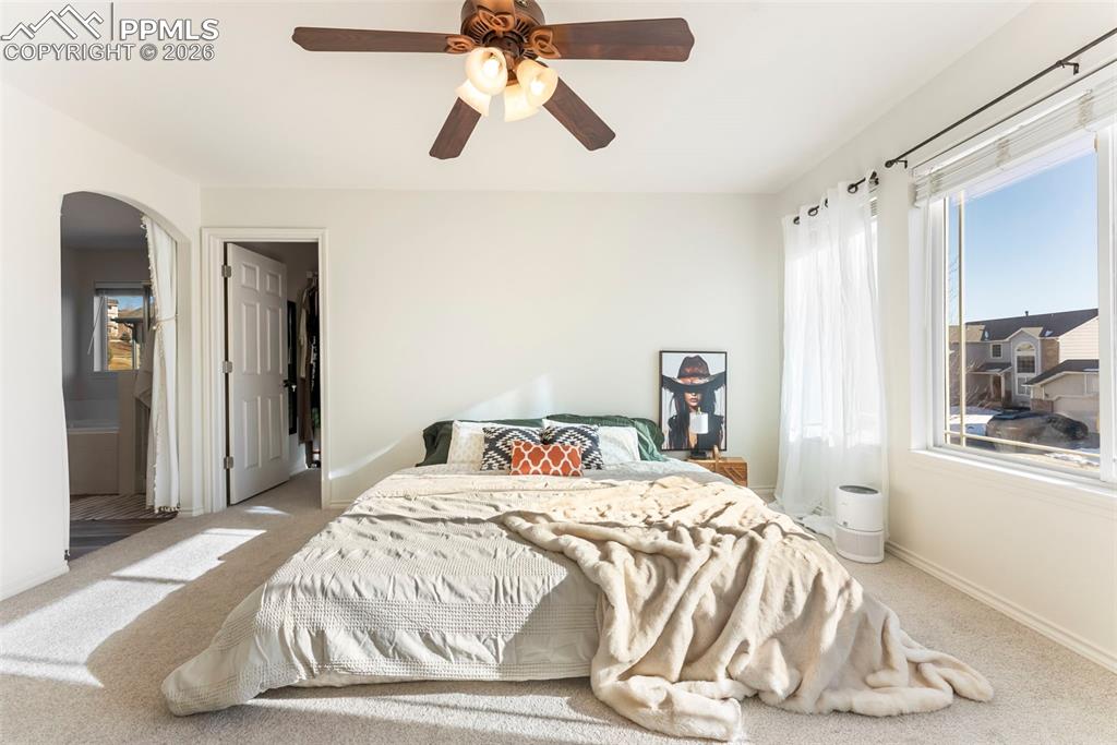 1442 Lookout Springs Drive Colorado Springs CO 80921