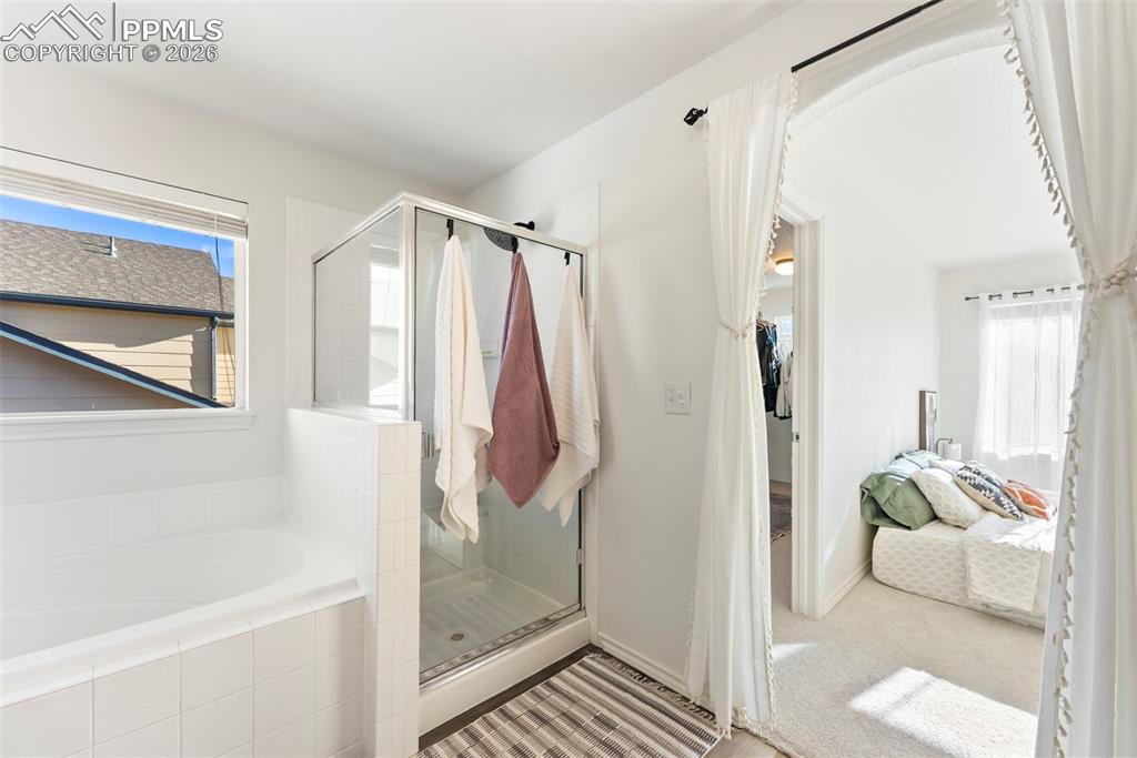 1442 Lookout Springs Drive Colorado Springs CO 80921