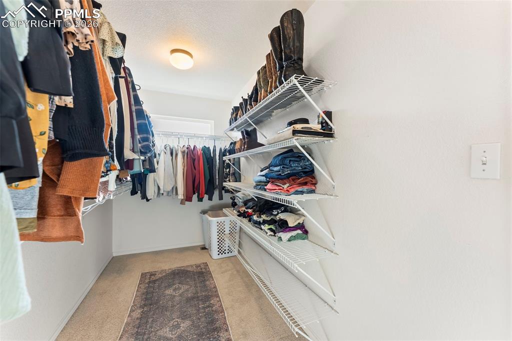 1442 Lookout Springs Drive Colorado Springs CO 80921