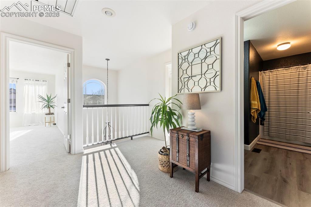 1442 Lookout Springs Drive Colorado Springs CO 80921