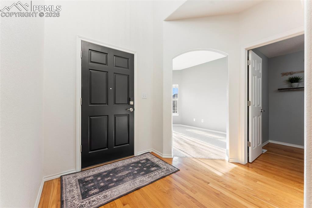 1442 Lookout Springs Drive Colorado Springs CO 80921