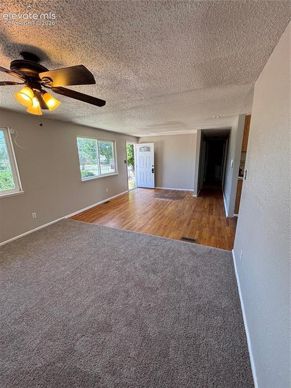 2034 Capulin Drive Colorado Springs CO 80910