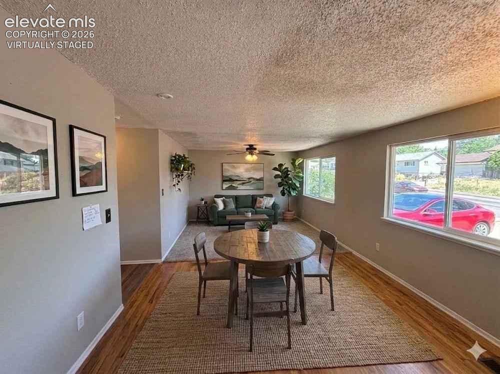 2034 Capulin Drive Colorado Springs CO 80910