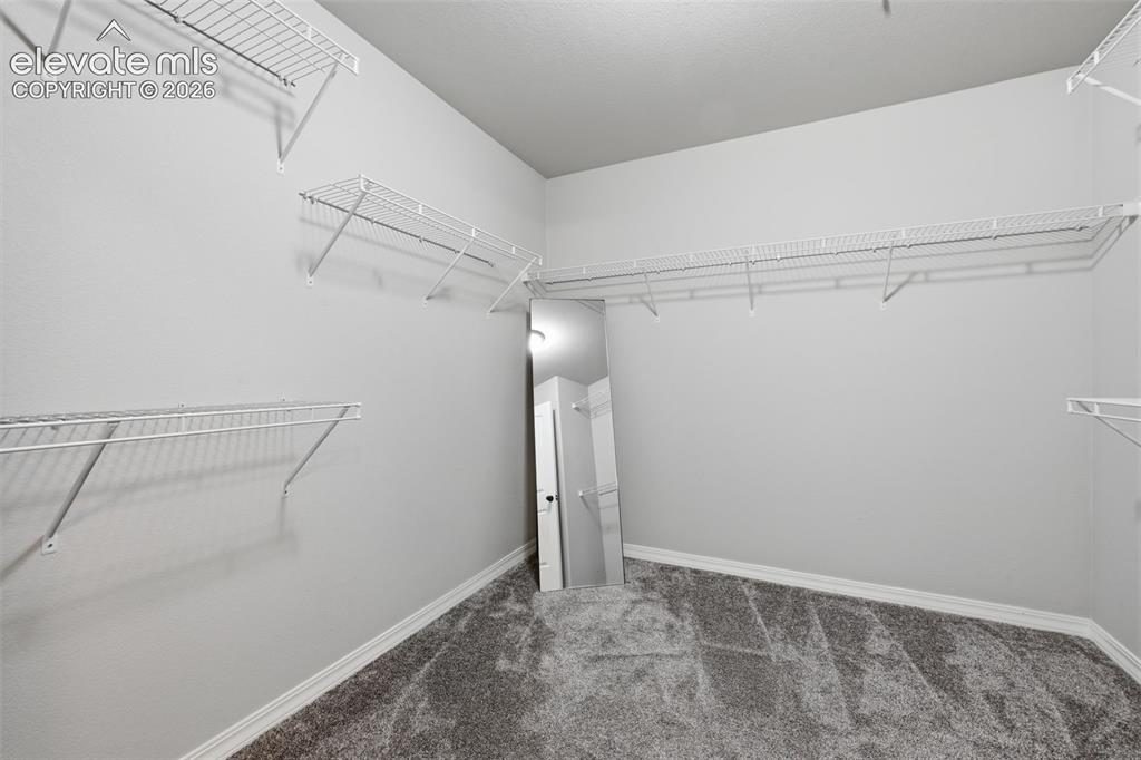 4444 Zircon Drive Colorado Springs CO 80938
