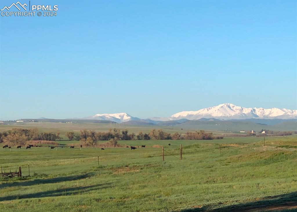 6597 S Highway 83 Franktown CO 80116