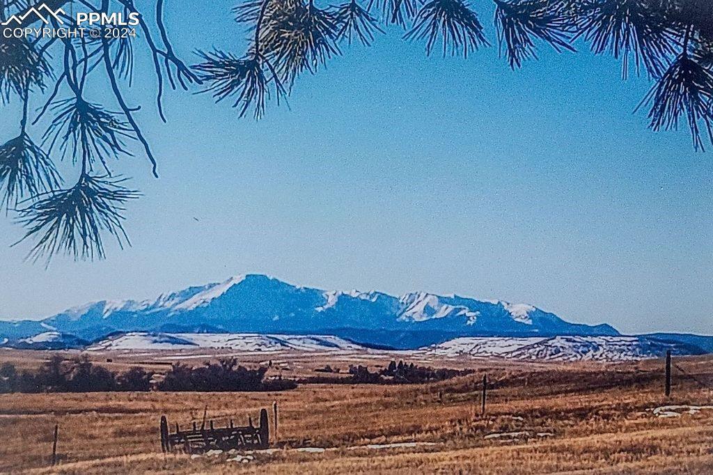 6597 S Highway 83 Franktown CO 80116