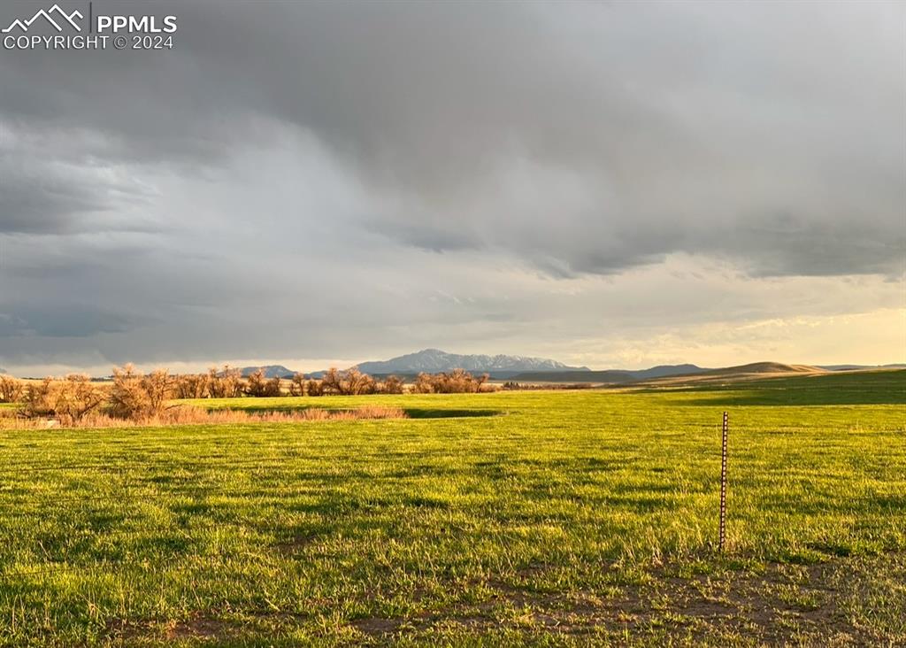 6597 S Highway 83 Franktown CO 80116