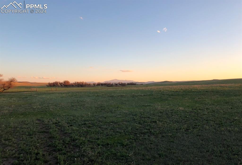 6597 S Highway 83 Franktown CO 80116