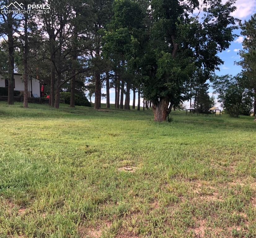 6597 S Highway 83 Franktown CO 80116
