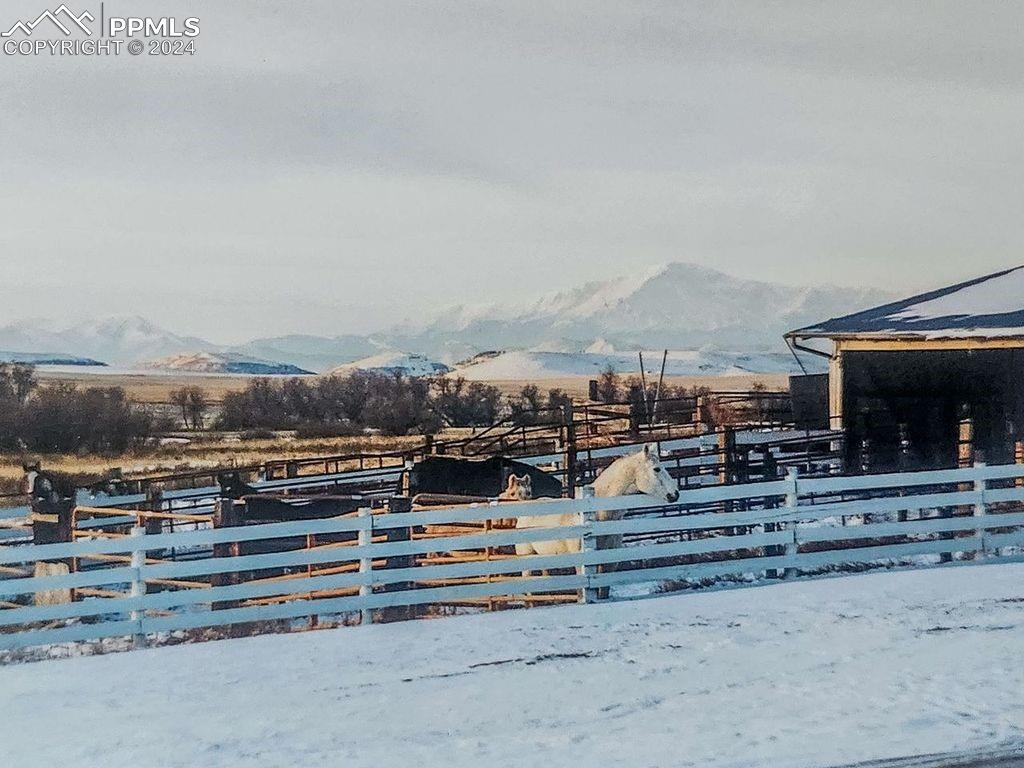 6597 S Highway 83 Franktown CO 80116