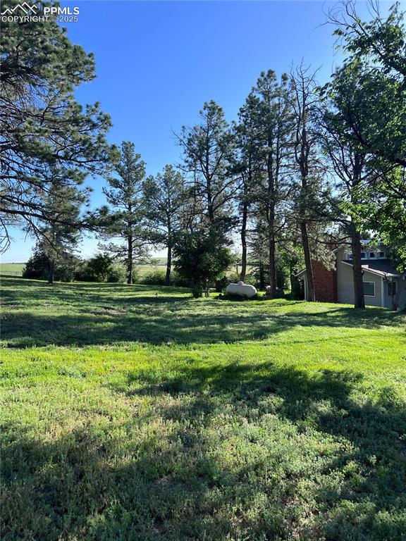 6597 S Highway 83 Franktown CO 80116