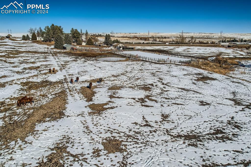 6597 S Highway 83 Franktown CO 80116