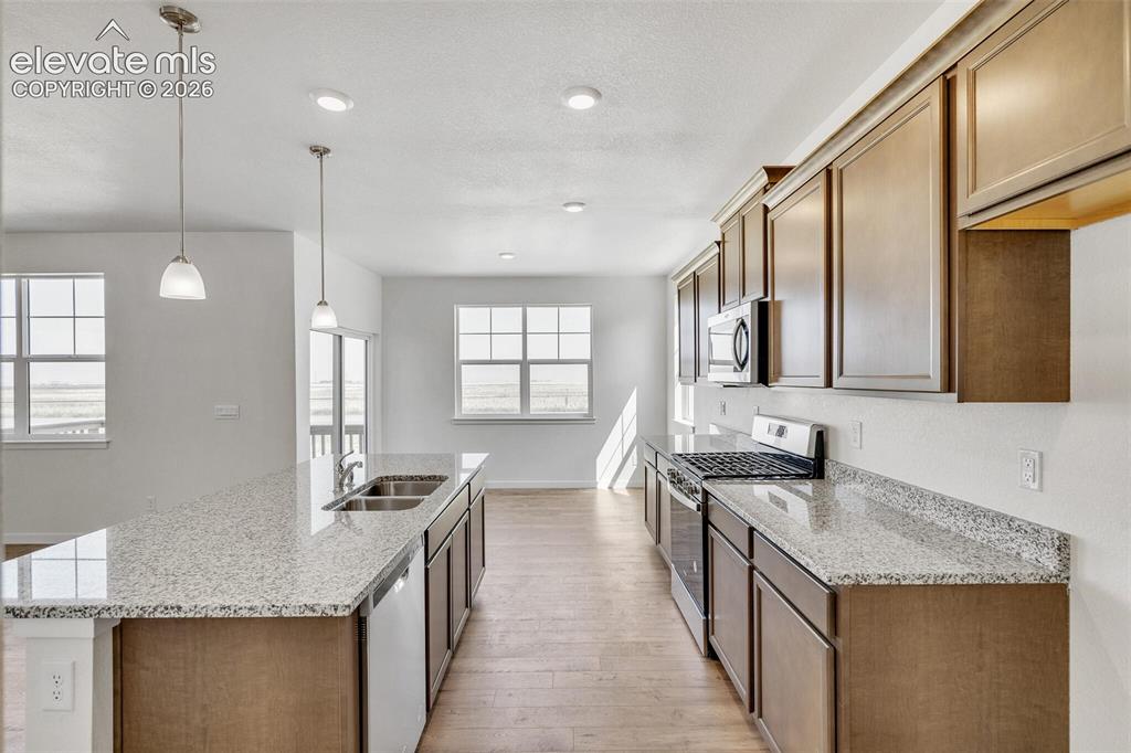 11739 Reagan Ridge Drive Colorado Springs CO 80925
