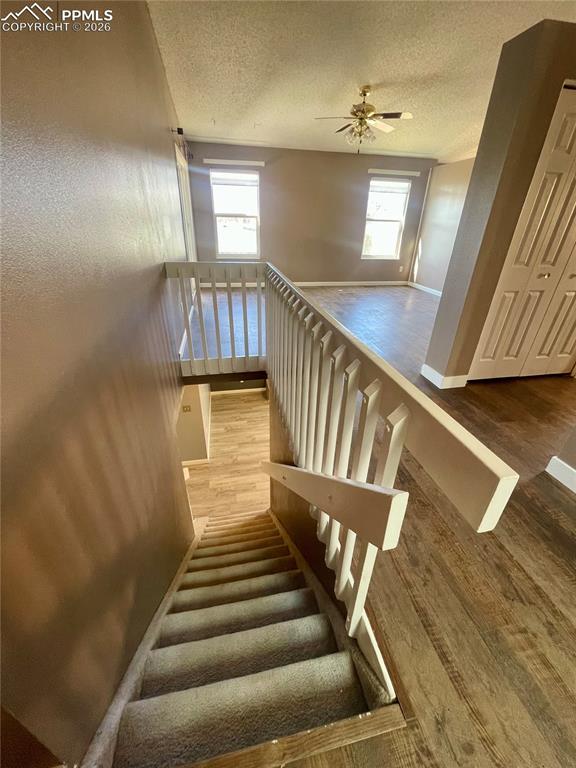 4926 Gibbon Street Colorado Springs CO 80911